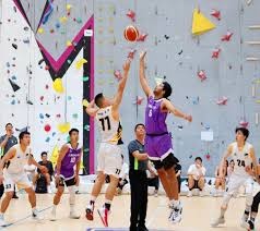 樊振东四连胜加冕男团 乒乓球德国杯落幕